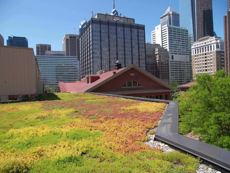 paysagiste-LA ROQUEBRUSSANNE-min_green-roof-portfolio-4